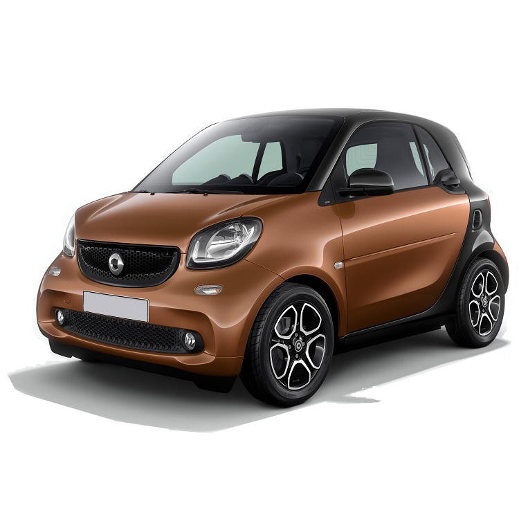 ΠΑΚΕΤΟ SERVICE SMART FORTWO, W453
